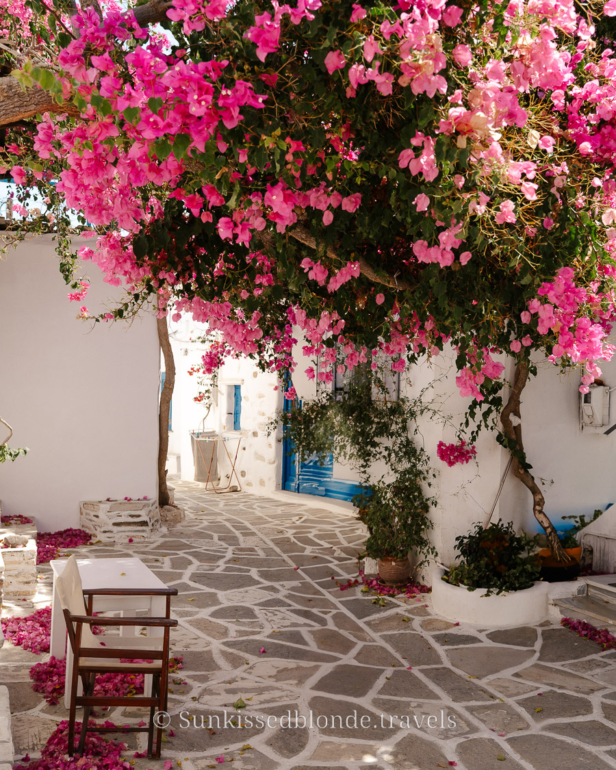 Shaded courtyard in Paros, Greece, with vibrant pink bougainvillea cascading over whitewashed Cycladic buildings and a stone‑paved walkway
