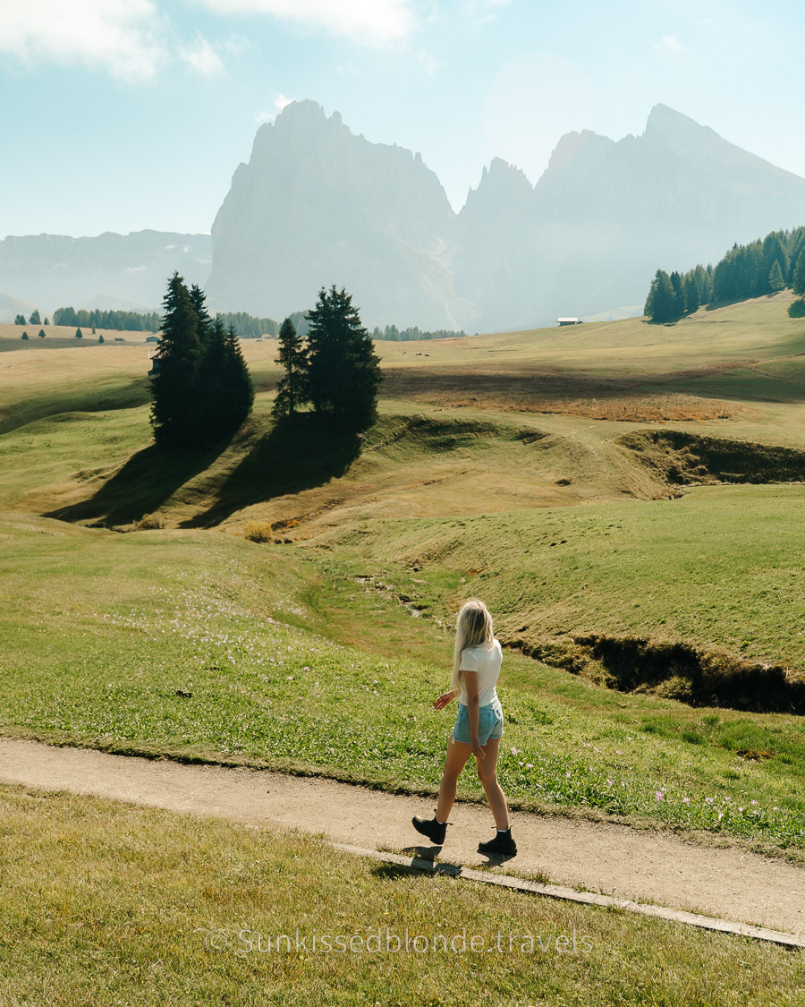 Golden hour light over Alpe di Siusi alpine meadow with Sassolungo mountain peaks in the background, Dolomites, South Tyrol, Italy
