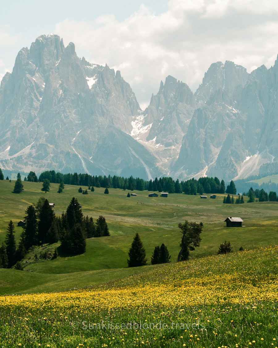 Golden hour light over Alpe di Siusi alpine meadow with Sassolungo mountain peaks in the background, Dolomites, South Tyrol, Italy