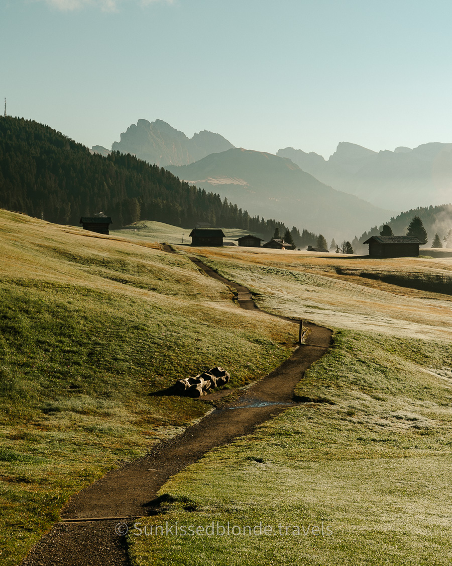 Golden hour light over Alpe di Siusi alpine meadow with Sassolungo mountain peaks in the background, Dolomites, South Tyrol, Italy